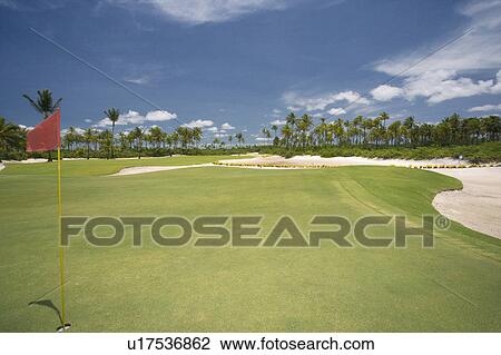 Playing Golf in Brazil View Large Photo Image Stock Image -  Playing Golf in Brazil. Fotosearch