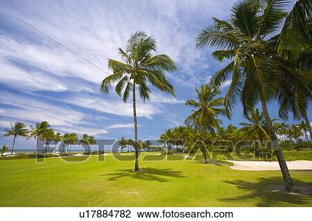 Stock Image -  Playing Golf in Brazil. Fotosearch