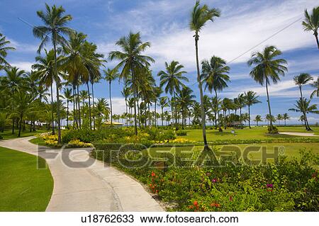 Stock Image - Playing Golf in Brazil. Fotosearch