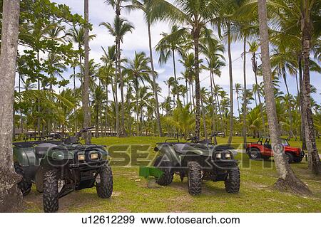 Playing Golf in Brazil View Large Photo Image Stock Photo - Playing Golf in Brazil. Fotosearch