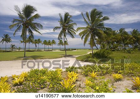 Stock Photo - Playing Golf in Brazil. Fotosearch