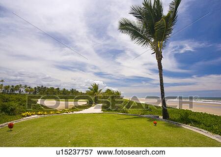 Stock Photo - Playing Golf in Brazil. Fotosearch