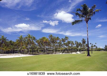 Stock Photo -  Playing Golf in Brazil. Fotosearch