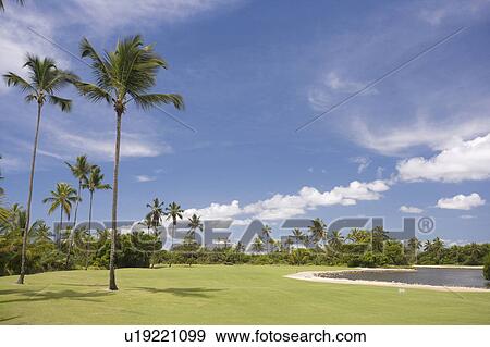 Playing Golf in Brazil View Large Photo Image Stock Photo - Playing Golf in Brazil. Fotosearch
