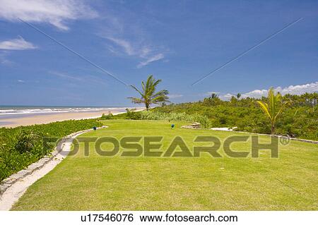 Playing Golf in Brazil View Large Photo Image Stock Photograph - Playing Golf in Brazil. Fotosearch
