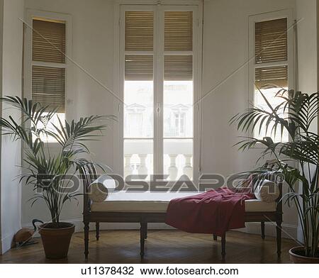 Stock Image - Potted palms and cream antique chaiselongues in front of French windows. Fotosearch