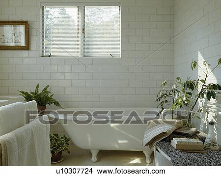 Rolltop bath in white bathroom View Large Photo Image Picture - Rolltop bath in white bathroom. Fotosearch