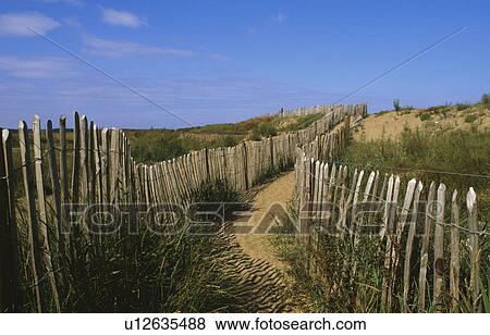 Stock Photo - Sandy path between wooden fencing on sand dunes at Holkham beach in Norfolk. Fotosearch