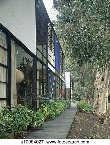 Sideways view of decked path running between modern architectural house and eucalyptus trees View Large Photo Image Stock Photo - Sideways view of decked path running between modern architectural house and eucalyptus trees. Fotosearch