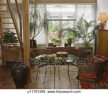 Small circular glass table and wicker chairs in dining room with tall houseplants and with white slatted blinds at window View Large Photo Image Stock Photography - Small circular glass table and wicker chairs in dining room with tall houseplants and with white slatted blinds at window. Fotosearch
