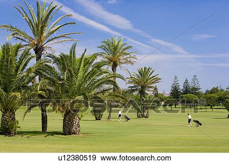 Stock Photo - Sotogrande Polo and Port. Fotosearch