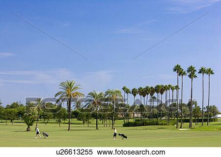 Sotogrande Polo and Port View Large Photo Image Stock Photography - Sotogrande Polo and Port. Fotosearch