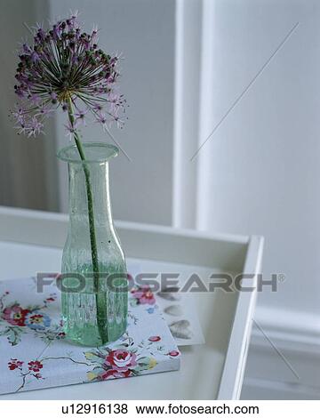 Stock Photo - Still-Life of blue Agapanthus in glass vase on white tray. Fotosearch