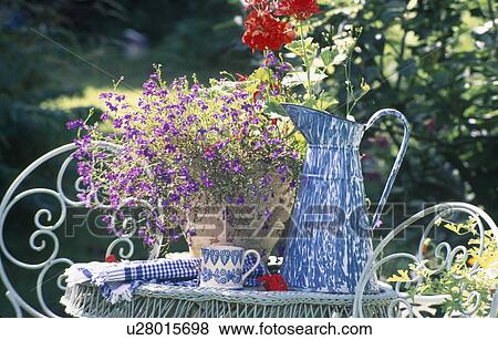 Still-life of blue enamel jug and lobelias in terracotta pot on table View Large Photo Image Stock Photo - Still-life of blue enamel jug and lobelias in terracotta pot on table. Fotosearch