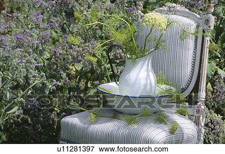 Stock Photo - Still-life of jug of fennel on pale grey upholstered chair in front of flowering borage. Fotosearch