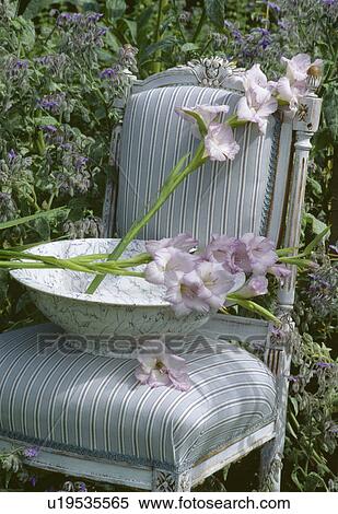 Stock Photography - Still-life of mauve gladioli in white bowl on pale grey striped upholstered chair. Fotosearch