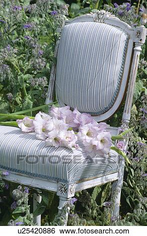 Still-life of mauve gladioli on pale grey striped upholstered chair View Large Photo Image Stock Photograph - Still-life of mauve gladioli on pale grey striped upholstered chair. Fotosearch