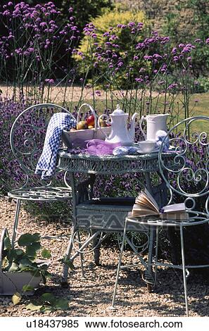 Stock Photography - Still-life of metal chairs and wicker table with white coffeepot and jug in front of purple bonariensis in country garden. Fotosearch