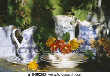 Stock Image - Still-life of nasturtiums in vase with collection of blue+white jugs. Fotosearch