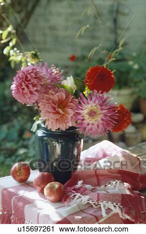 Stock Image - Still-life of pink geraniums in pottery vase on red +white cloth . Fotosearch