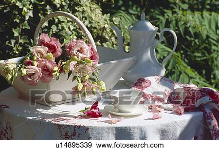 Stock Photo - Still-life of pink roses in trug and white coffeepot on table with white linen cloth. Fotosearch