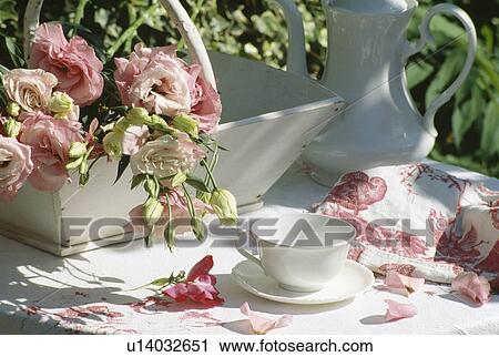Still-life of pink roses in white trug and white coffeepot on table with rose-patterned cloth View Large Photo Image Stock Image - Still-life of pink roses in white trug and white coffeepot on table with rose-patterned cloth. Fotosearch