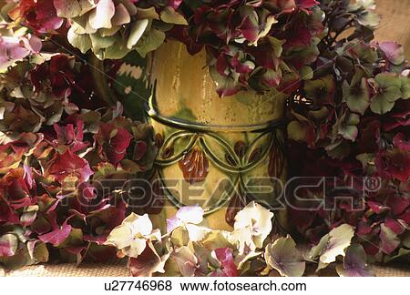 Still-life of red and cream hydrangea flowers with yellow ceramic vase View Large Photo Image Stock Photo - Still-life of red and cream hydrangea flowers with yellow ceramic vase. Fotosearch