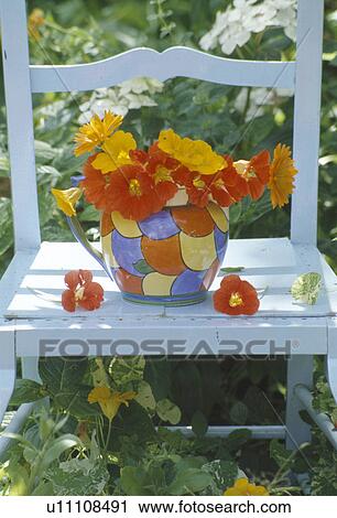 Stock Image - Still-life of red and yellow nasturtiums in colourful jug on old white chair. Fotosearch