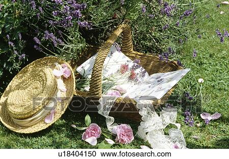 Still-life of straw hat and wicker basket with old book and pink roses View Large Photo Image Stock Image - Still-life of straw hat and wicker basket with old book and pink roses. Fotosearch