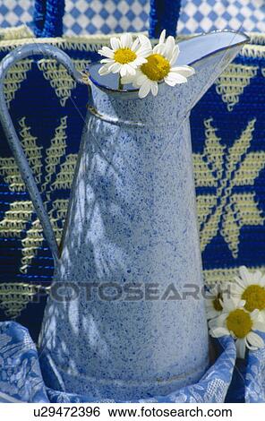 Stock Photograph - Still-life of white daisies in tall blue splash-patterned enamel jug. Fotosearch