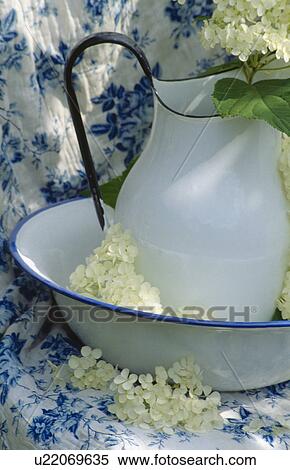 Still-life of white enamel jug and bowl with white hydrangea flowers on blue+white fabric View Large Photo Image Stock Photography - Still-life of white enamel jug and bowl with white hydrangea flowers on blue+white fabric. Fotosearch