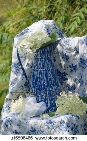 Stock Photograph - Still-life of white hydrangea flowers in tall blue+white enamel jug aginst background of blue+white floral fabric. Fotosearch