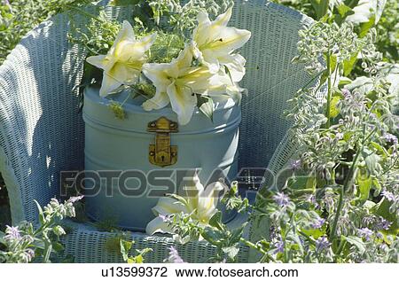 Stock Image - Still-life of white lilies on white metal box on white Lloyd Loom chair. Fotosearch