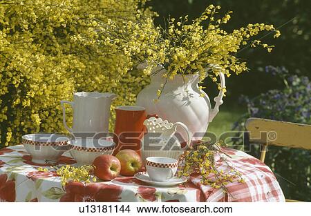 Still-life of yellow broom in white jug on table with red poppy patterned cloth View Large Photo Image Picture - Still-life of yellow broom in white jug on table with red poppy patterned cloth. Fotosearch