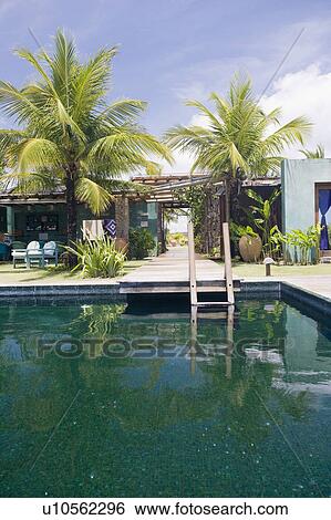 Stock Photograph - Swimmingpool at Beach house in Brazil.. Fotosearch