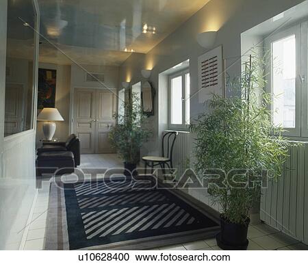 Tall green houseplants and black+white patterned rug in modern French living room View Large Photo Image Stock Image - Tall green houseplants and black+white patterned rug in modern French living room. Fotosearch