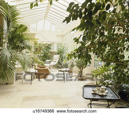 Stock Photograph - Tall houseplants in large traditional conservatory. Fotosearch