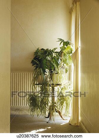 Traditional cream hall View Large Photo Image Stock Photography - Traditional cream hall. Fotosearch