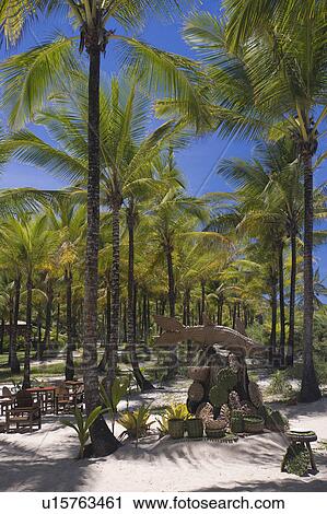 Underneath palm trees a tourist shop on beach in Brazil. View Large Photo Image Stock Image - Underneath palm trees a tourist shop on beach in Brazil.. Fotosearch