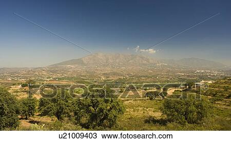View across farmland to the mountains in the province of Malaga, Spain. View Large Photo Image Stock Image - View across farmland to the mountains in the province of Malaga, Spain.. Fotosearch