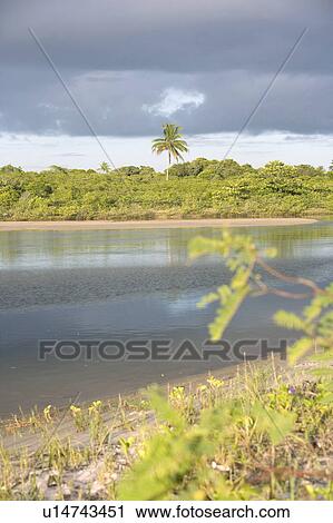 Stock Image - View of beach in Brazil.. Fotosearch