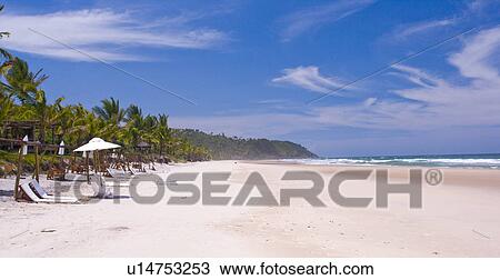 View of beach in Brazil. View Large Photo Image Stock Image - View of beach in Brazil.. Fotosearch