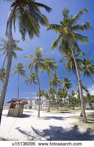 View of beach in Brazil. View Large Photo Image Stock Photography - View of beach in Brazil.. Fotosearch