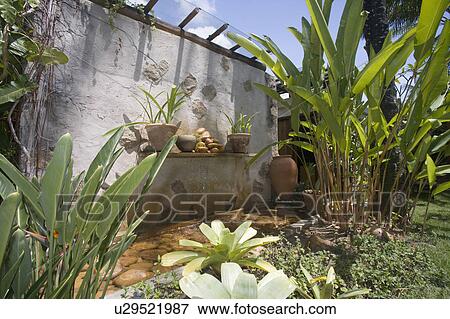 Stock Photo - Watergarden in garden in Brazil. Fotosearch