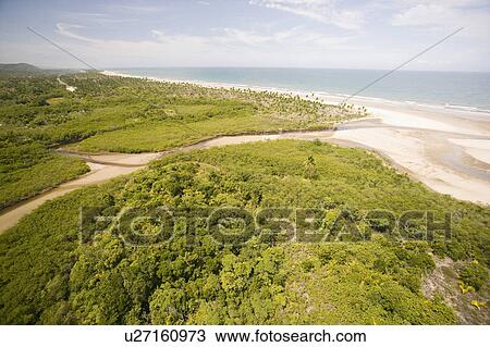 Where the jungle meets the ocean - endless beach in Brazil. View Large Photo Image Stock Image - Where the jungle meets the ocean - endless beach in Brazil.. Fotosearch