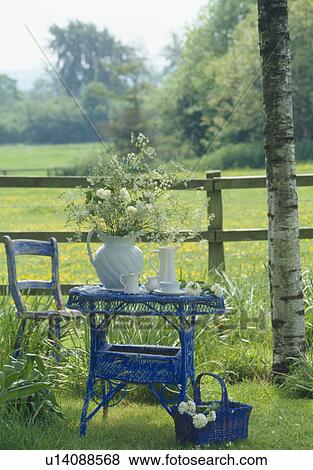 White cow parsley in white jug on blue wicker table in country garden with view of field View Large Photo Image Stock Photo - White cow parsley in white jug on blue wicker table in country garden with view of field. Fotosearch
