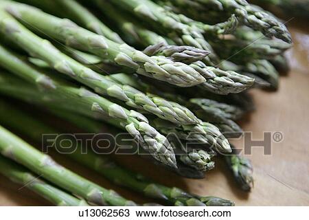 Asparagus View Large Photo Image Stock Image - Asparagus. Fotosearch