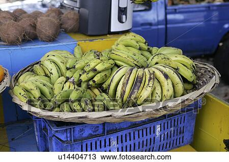 Stock Image - Bananas, Grande Baie, Mauritius. Fotosearch