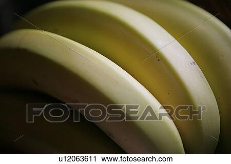 Stock Image - Bananas. Fotosearch