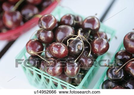 Basket of Cherries at Farmers Market View Large Photo Image Stock Photograph - Basket of Cherries at Farmers Market. Fotosearch